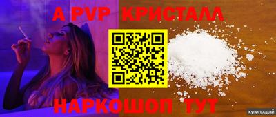 ECSTASY Кингисепп