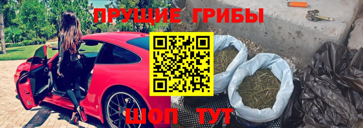 Ульяновск  Псилоцибиновые грибы прущие грибы  Вход с VPN  Псилоцибиновые грибы Magic Shrooms 